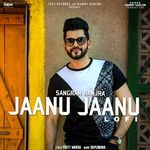 Jaanu Jaanu Lofi