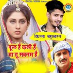 Kissa Mahabharat Phool Hai Kali Hai Ya Tu Sabnam Hai artwork