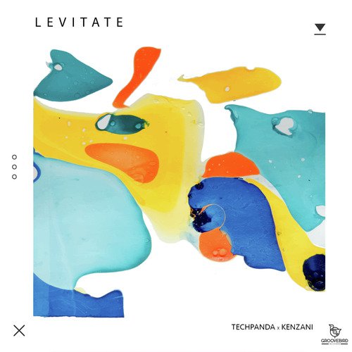 Levitate_poster_image