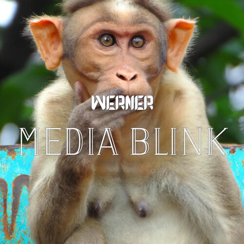 Media Blink