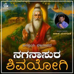 Naganasura Shivayogi