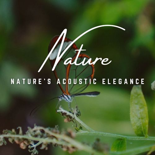 Melodies of Acoustic Earth cover art