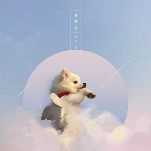 Puppy cover art
