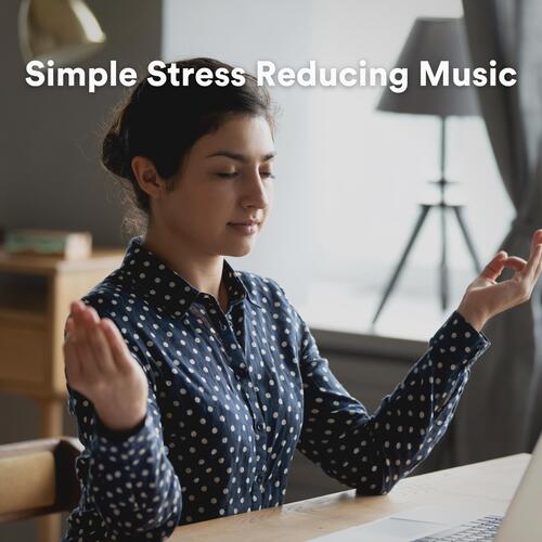 Simple Stress Reducing Music_poster_image