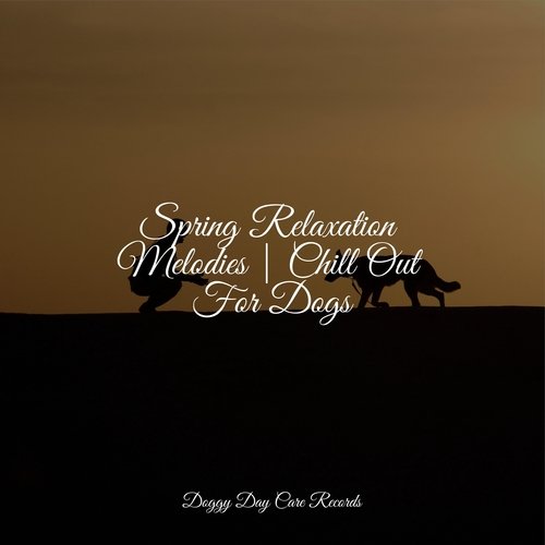 Spring Relaxation Melodies | Chill Out For Dogs_poster_image