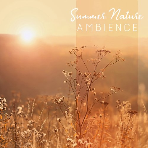 Summer Nature Ambience