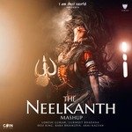 The Neelkanth Mashup