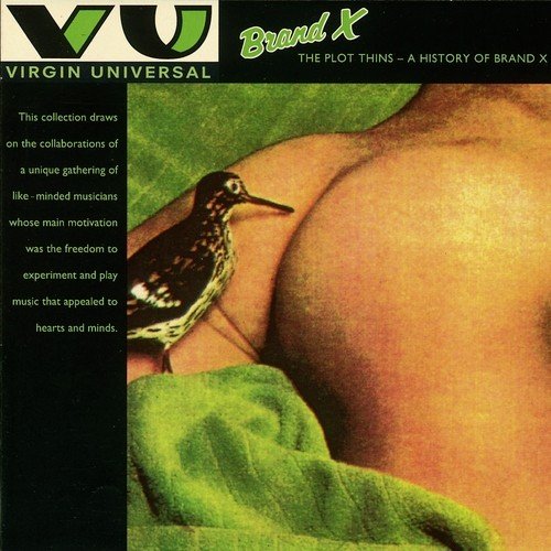 The Plot Thins - A History Of Brand X