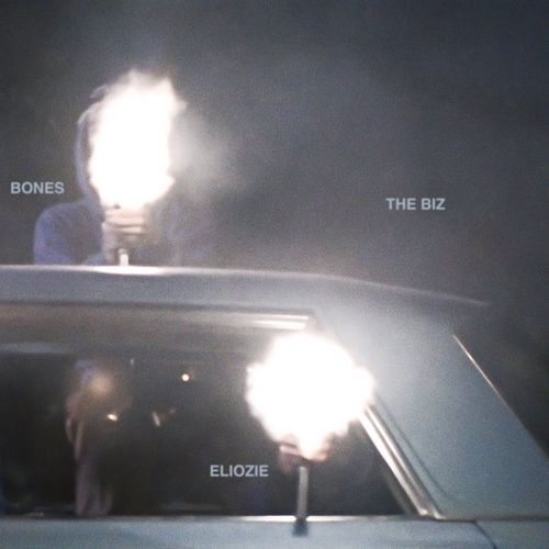 TheBiz cover art