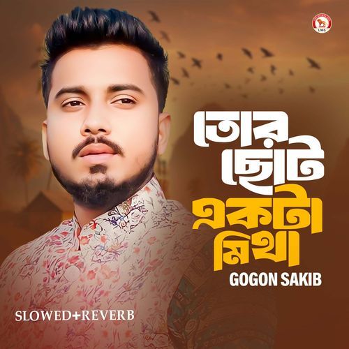 Tor Chotto Ekta Mittha (Slowed+Reverb)