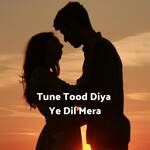 Tune Tood Diya Ye Dil Mera