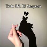Tute Dil Ki Sargam 2
