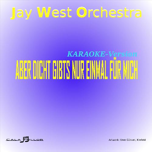 Aber dich gints nur einmal für mich (Karaoke Mix instrumental) cover art
