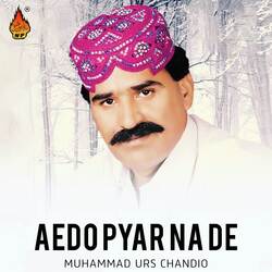 Pardesiyan Aala Pardes Chajo