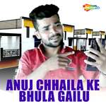 Anuj Chhaila Ke Bhula Gailu artwork