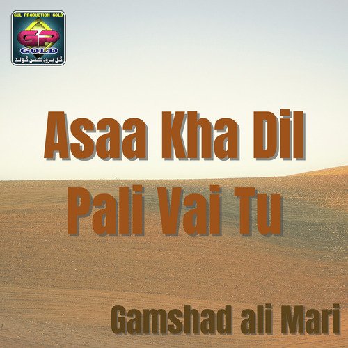 Pakhi Ae Pardesi Jo wo Koba Na He Ghar