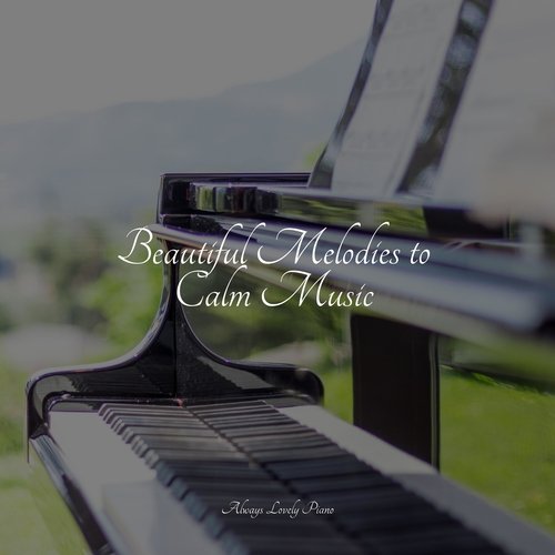 Beautiful Melodies to Calm Music