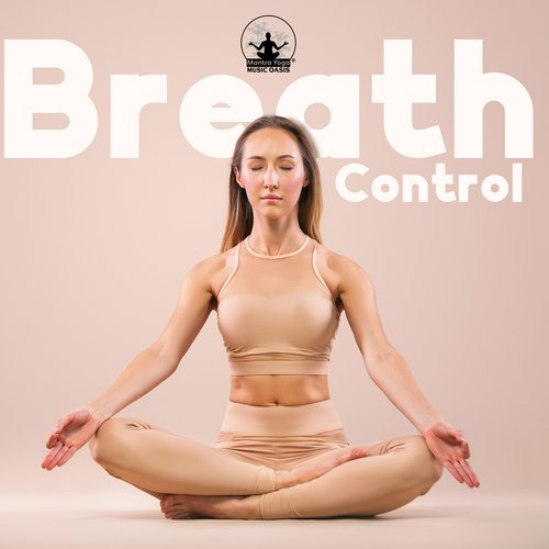 Peaceful Instrumental Zone cover art