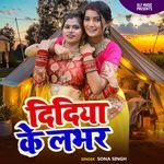 Didiya Ke Labhar