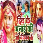 Dil Ke Manai Ki O Bewafa Ke