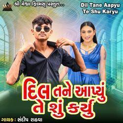 Dil Tane Aapyu Te Shu Karyu