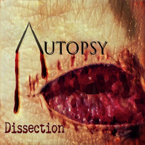 Dissection