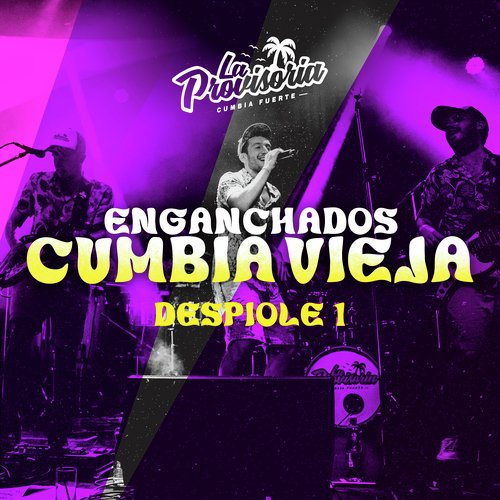 Enganchados Cumbia Vieja Mix 1: Vengo de la casa de ella / Yo soy tu maestro / Son cosas del amor / Eres cover art