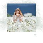 Sons Paisibles de la Pleine Conscience du Vent