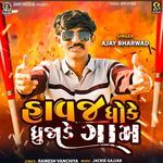 Havaj Dhoke Dhrujade Gam