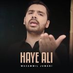 Haye Ali