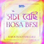 Hosa Besi