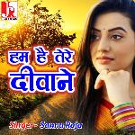 Hum Hai Tere Deewane