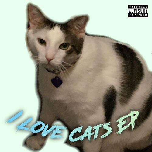 Jay.flopped Disstrack cover art