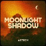 Moonlight Shadow (Techno Version) artwork