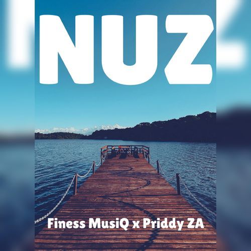 Nuz cover art