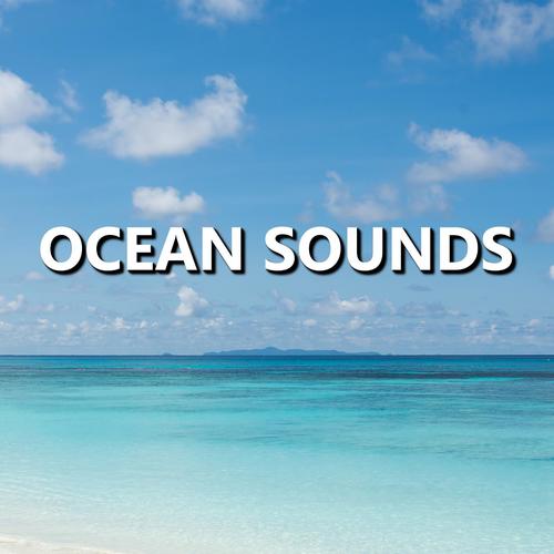 Comfortable Coastline Ocean Sounds