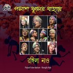 Joler Ghate Deikhya Ailam