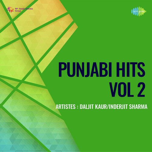 Punjabi Hits Vol 2