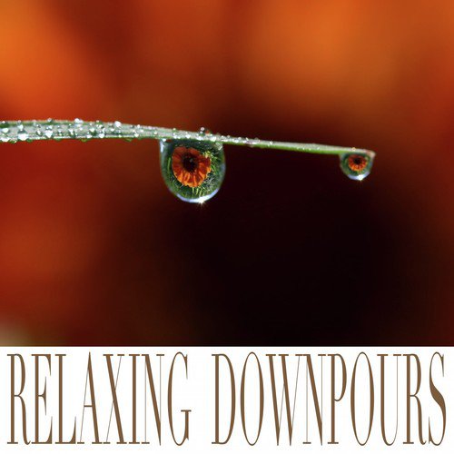 Deep Sleep Solution cover art
