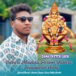 Sabari Mailkku Porom Yathra - Ayyappan Song