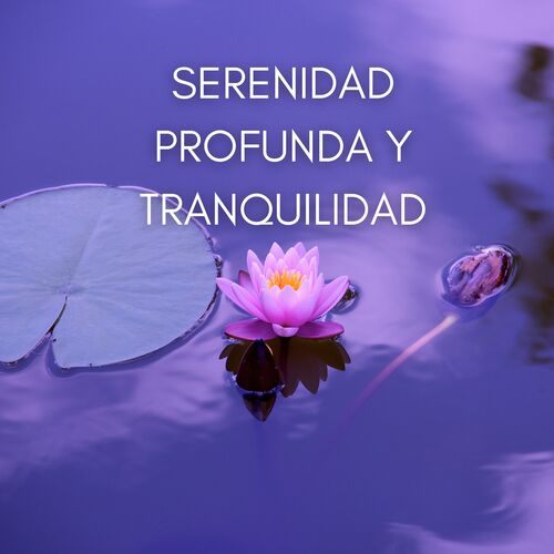 Concentración cover art