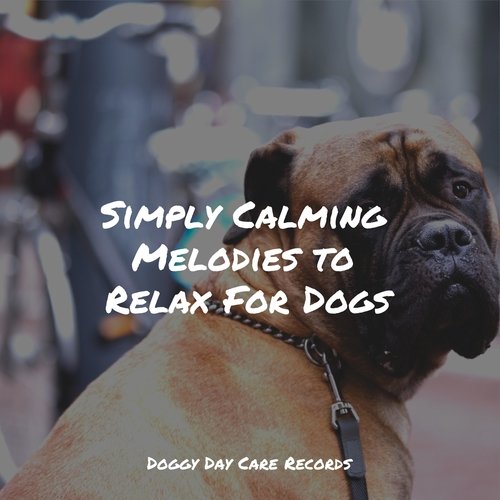 Simply Calming Melodies to Relax For Dogs_poster_image