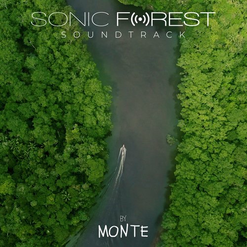 Sonic Forest_poster_image