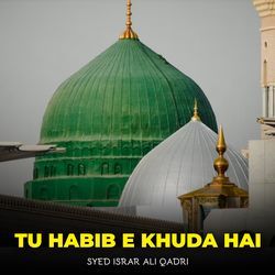 Tu Habib e Khuda Hai