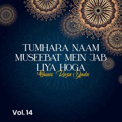 Tumhara Naam Museebat Mein Jab Liya Hoga-PTsRXxdAD2U