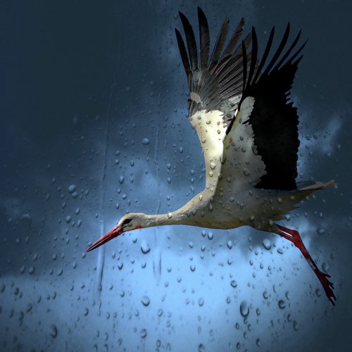 Water Nature Melodies for Sleep, Study, Deep Focus