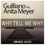 Anita Meyer - Why Tell Me Why (Lyrics) [from Dirty Lines Netflix
