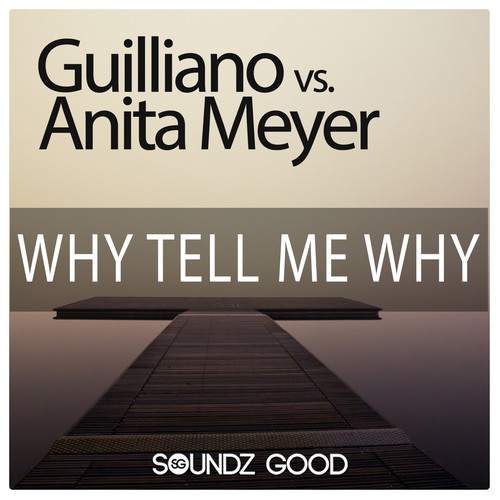 Why Tell Me Why Lyrics - Anita Meyer, Guilliano - Only on JioSaavn