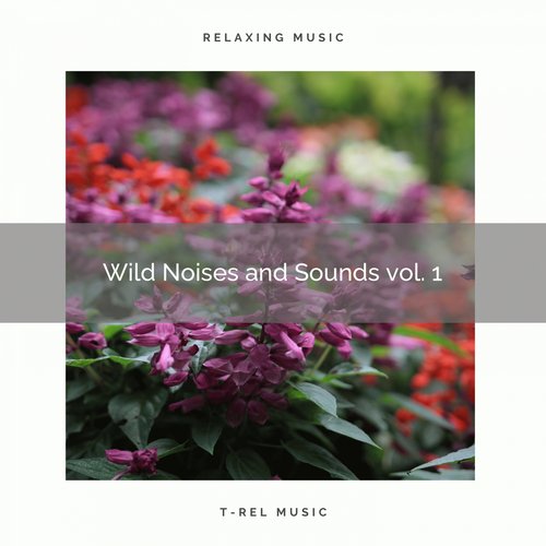Universal Zen of Nature for Deep Recharge pt. 1 cover art