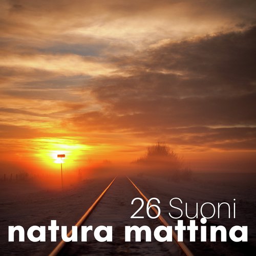 Suoni natura mattina cover art